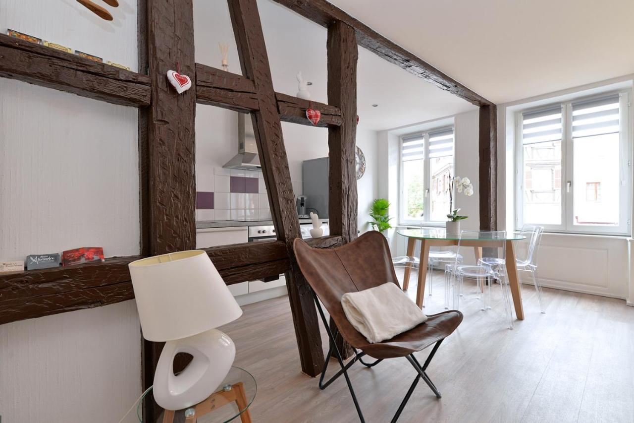 Petite Venise Gite Saint Pierre 2 Pieces 3 Etoiles Classement Tourisme Colmar Esterno foto
